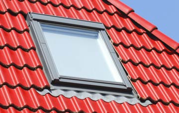 roof windows Jurys Gap, East Sussex